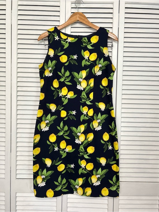 Chetta B Dresses & Skirts - Chetta B Sleeveless Lemon
Print Dress Navy Blue White
Blossoms Size 8